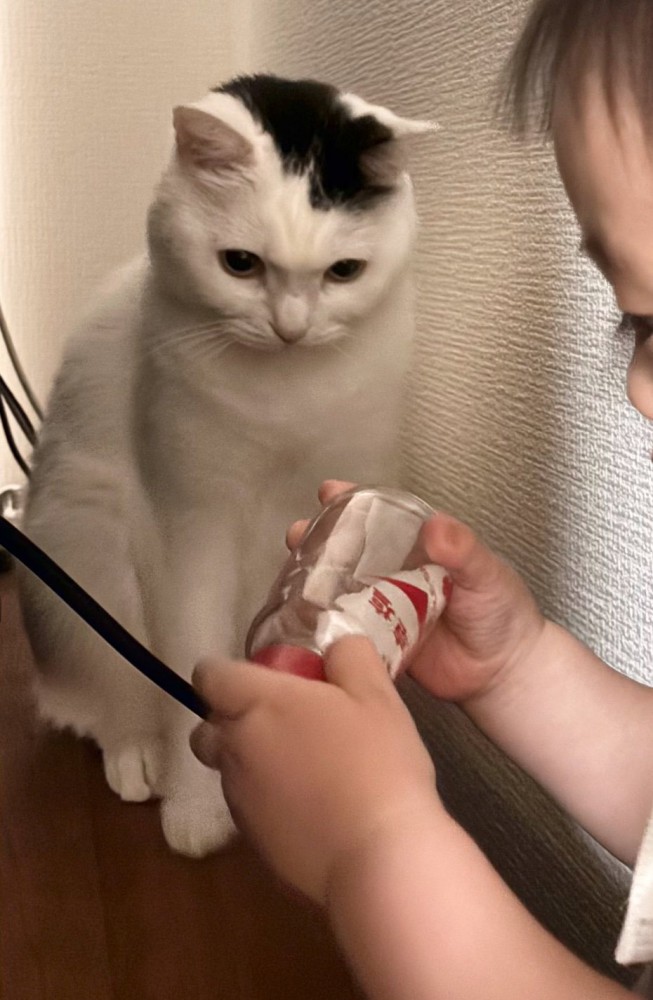 塩を見つめるふたり