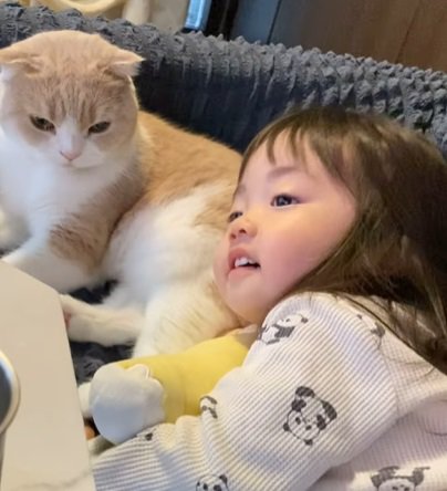 猫のお尻に頭を乗せる子供