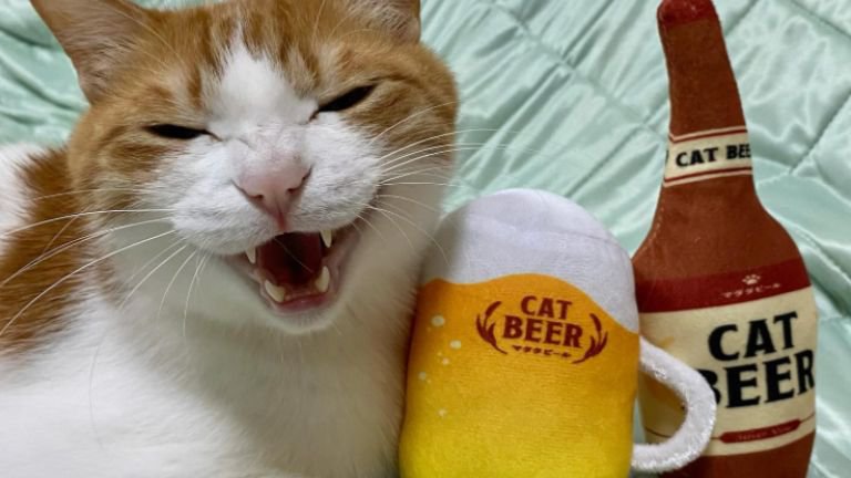 猫とビールのぬいぐるみ