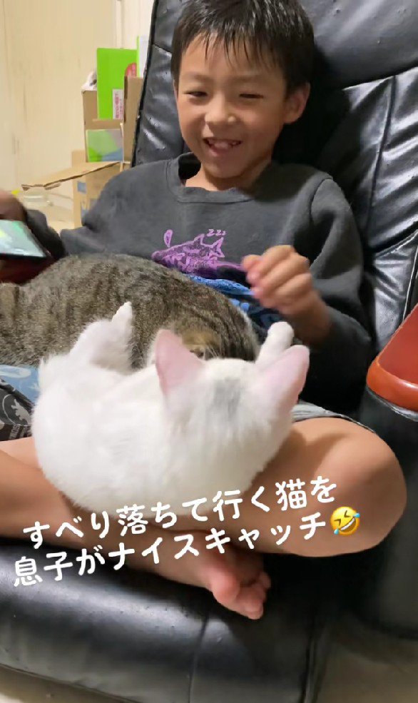 膝の上に猫をのせている男の子