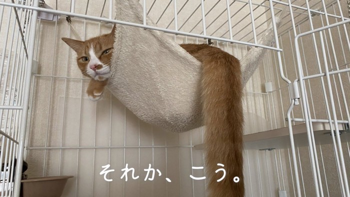 正しいハンモックの使い方2