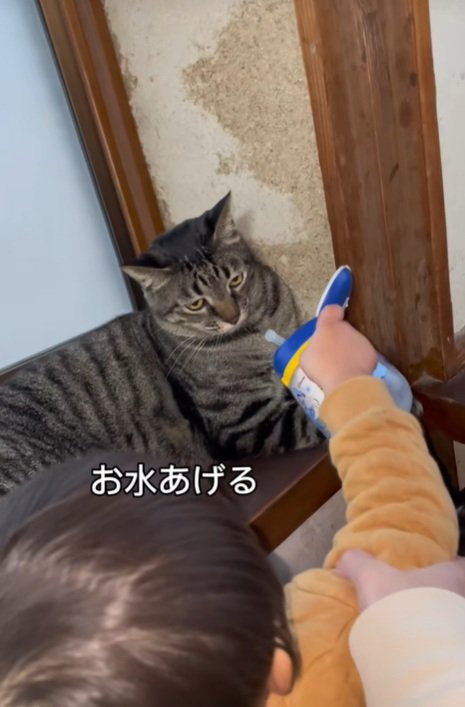 お水をあげるお兄ちゃん