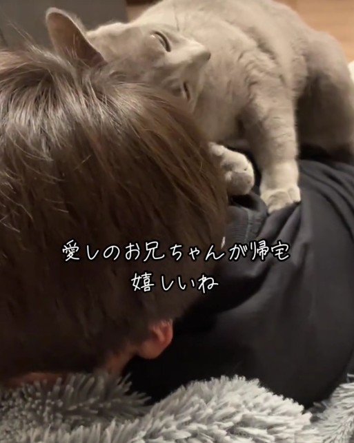 人にすり寄っている猫