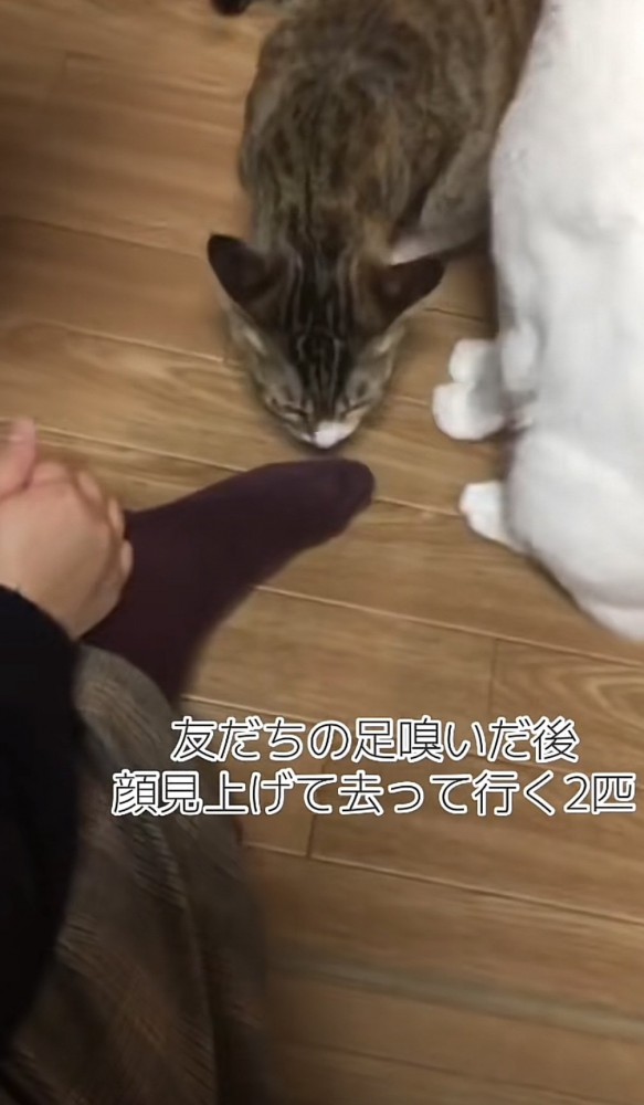 「友だちの足...」のテロップ写真2