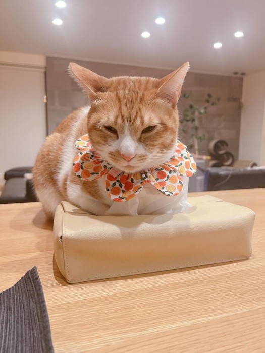 成長したノニちゃん