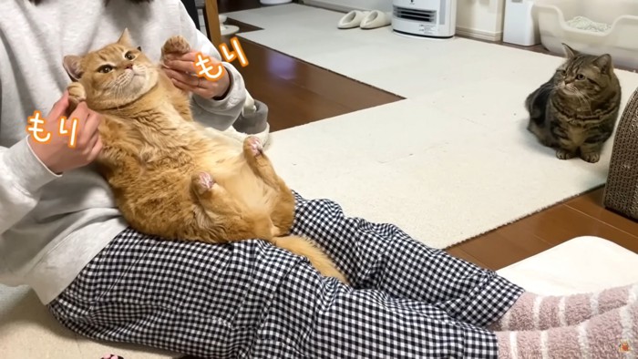 ママさんによるボディビルごっこ