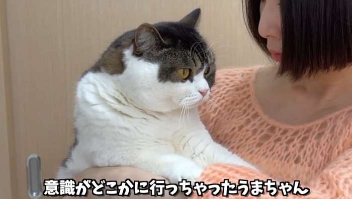 意識がどこかに