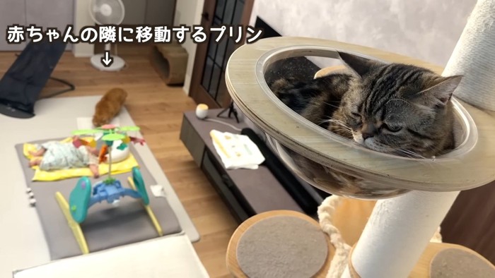 赤ちゃんの隣に移動