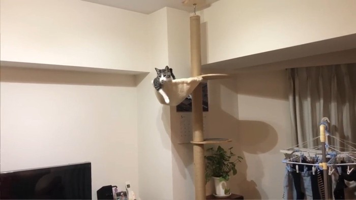 ハンモック
