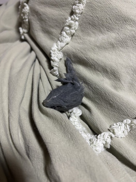 濡れたネズミのおもちゃ