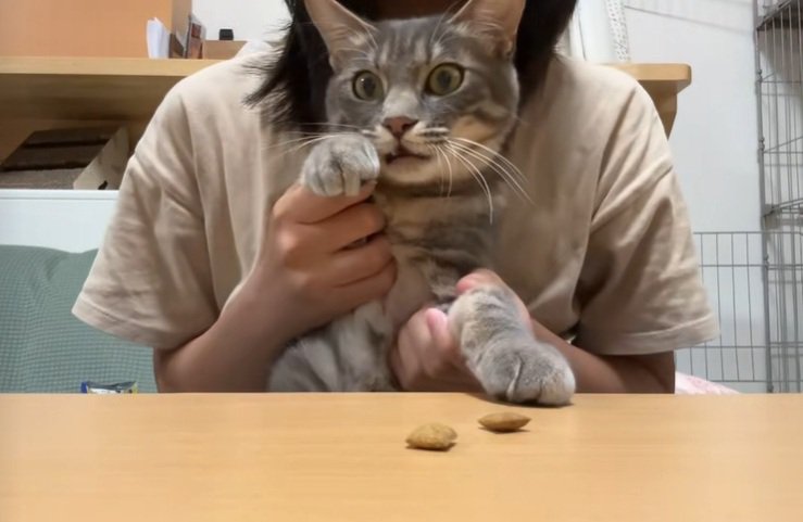 抱っこされるスピカちゃん