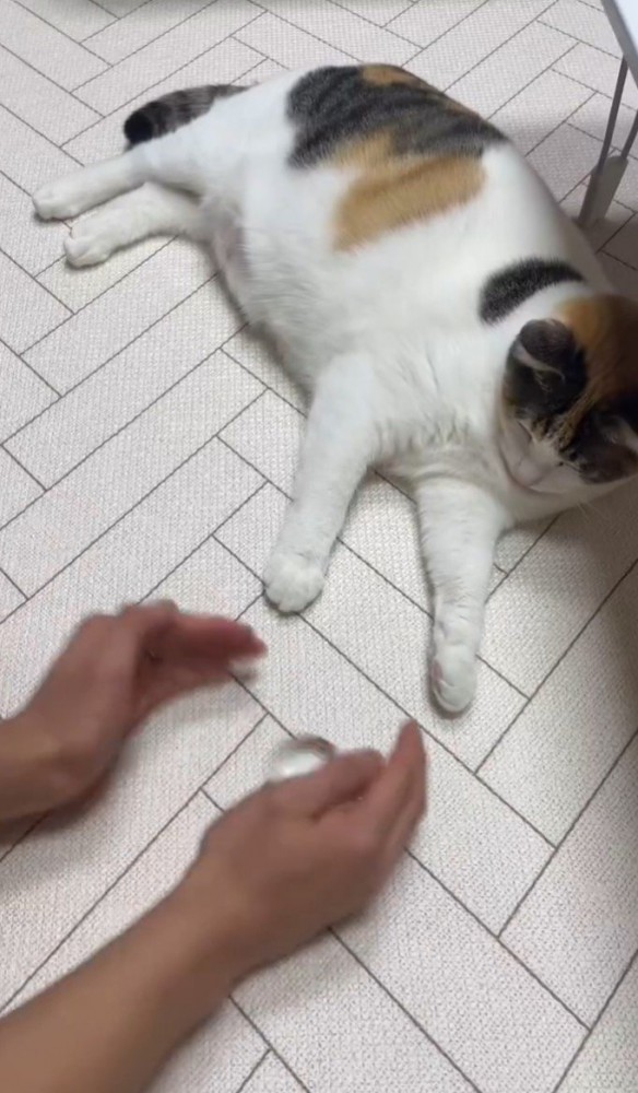 両手で物をシャカシャカ左右に振る