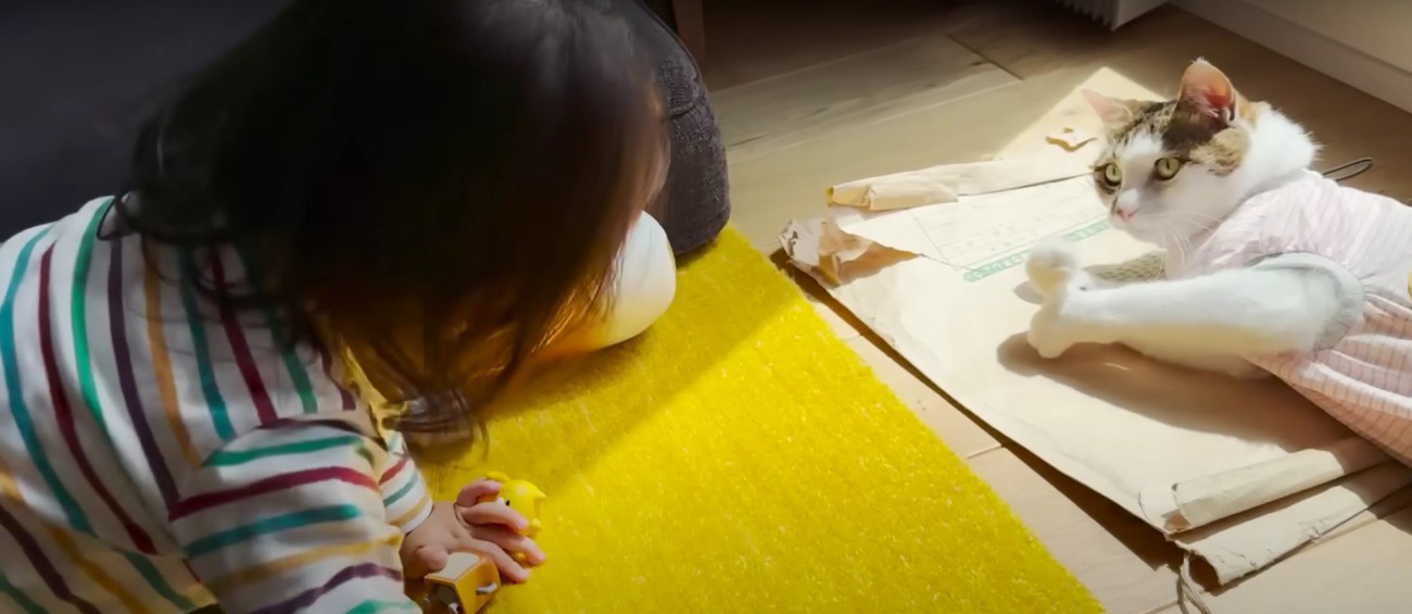 子どもと猫%%1歳半になる娘さん