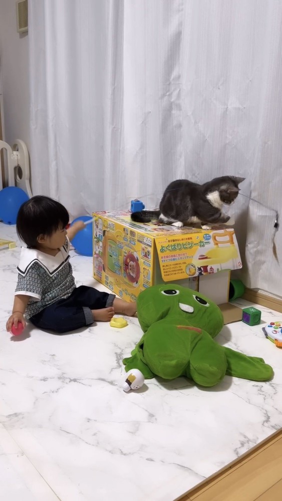 猫と遊ぶ赤ちゃん