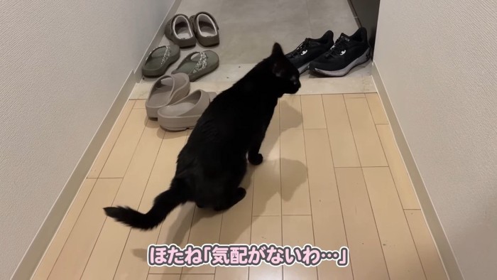 気配がないわ…