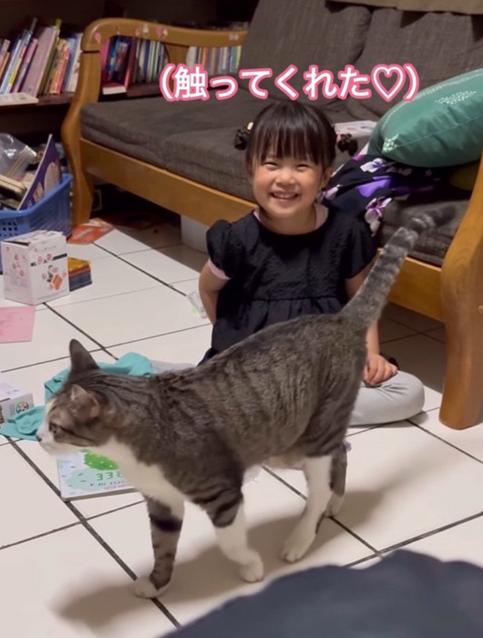 猫にしっぽを当てられて笑顔になる女の子