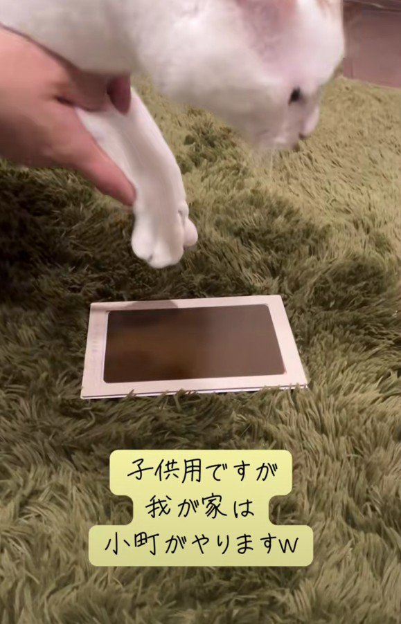 手形をとる小町ちゃん