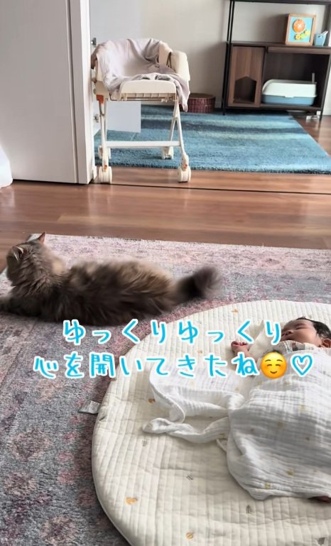 寝ている赤ちゃんのそばで寝る猫