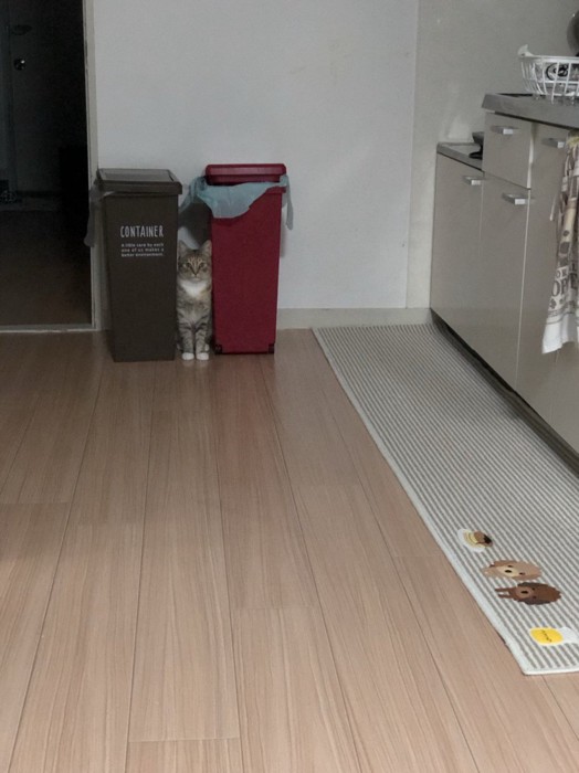 引きのアングルで撮影したキッチン