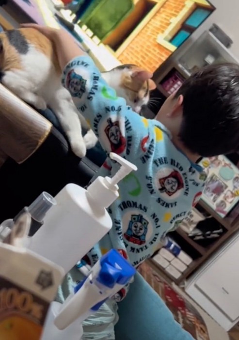 猫を撫でる男の子