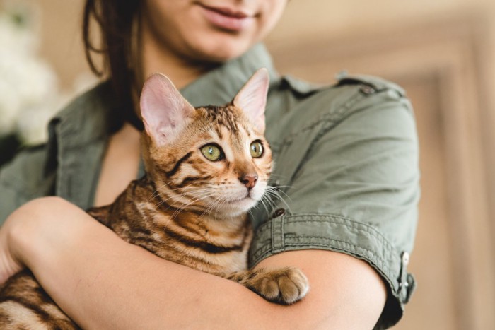 女性に抱っこされている猫