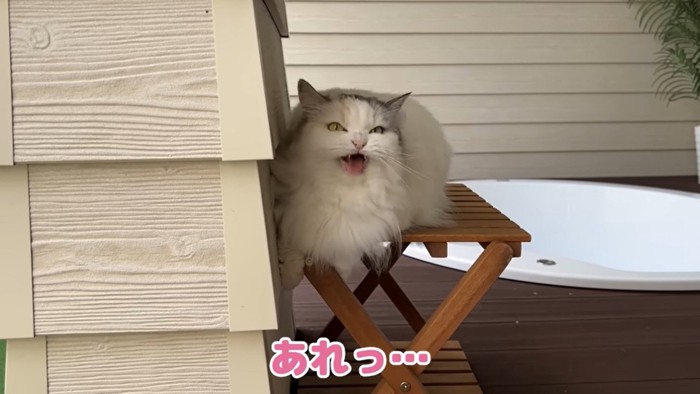 「カタカタ」（クラッキング）