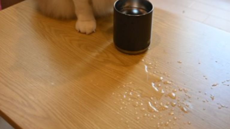 コップと飲み水