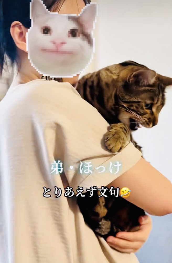 飼い主さんに抱っこされる弟ベンガル