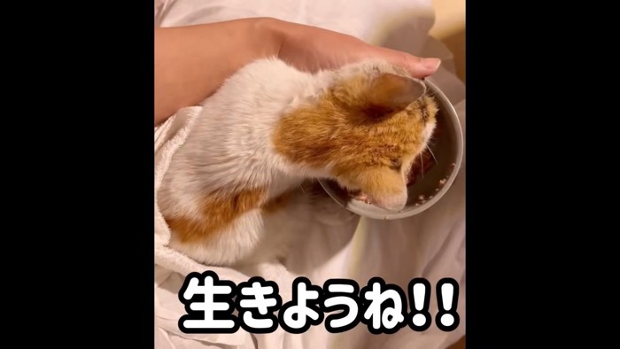 テロップ「生きようね！」