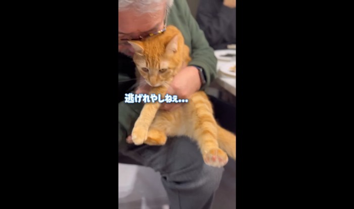 逃げられやしねぇ…