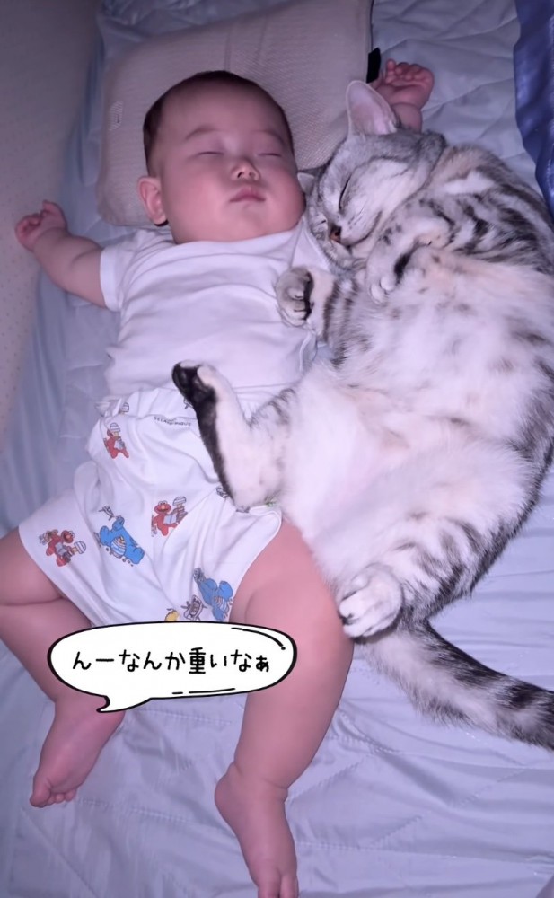 眠る赤ちゃんと猫