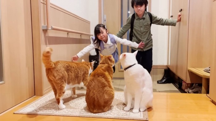 子供たちと猫たち