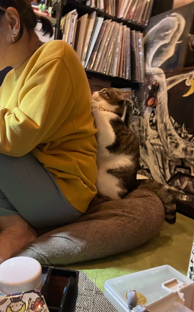 飼い主の背中にはりつく猫