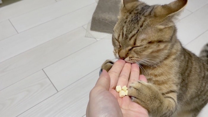 飼い主さんの指を食べる