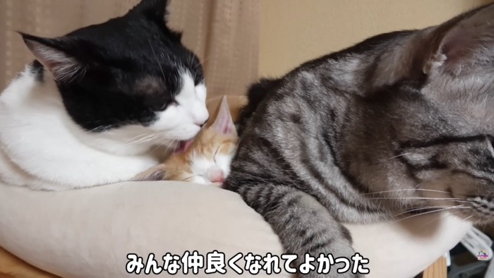 テロップ「みんな仲良くなれてよかった」