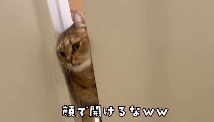 顔で開けるな(顔が出そうに)