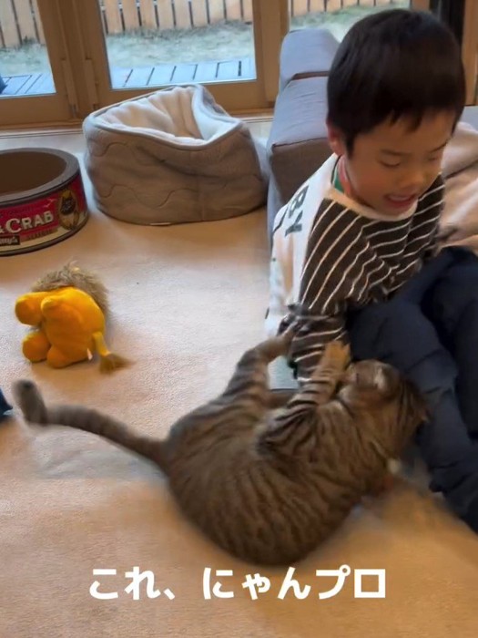 子供の腕にしがみつく猫