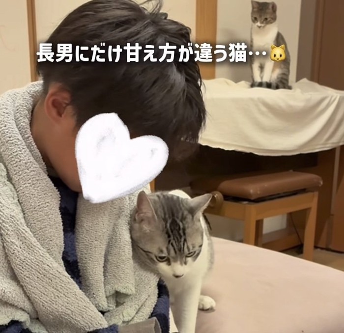 長男くんに擦り寄る保護猫