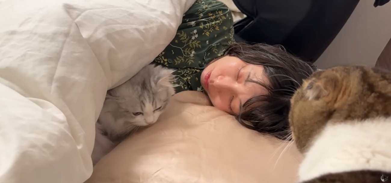 ベッドで寝ている人と2匹の猫