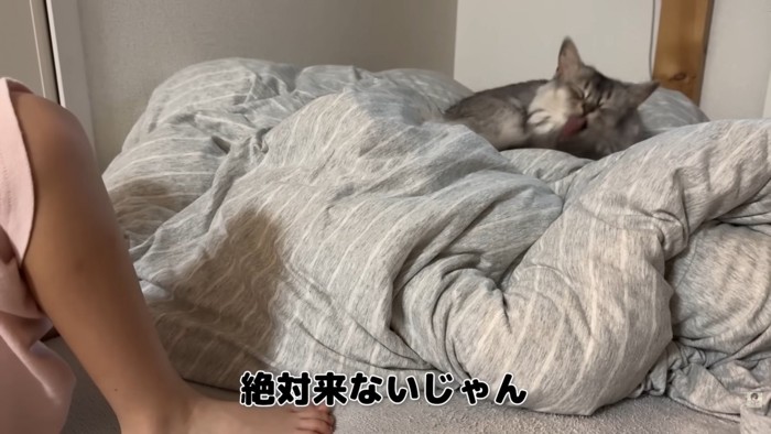 テロップ「絶対来ないじゃん」