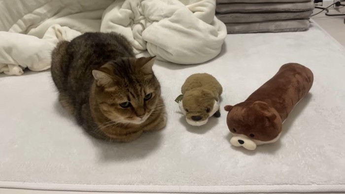 並ぶ3人(前から)