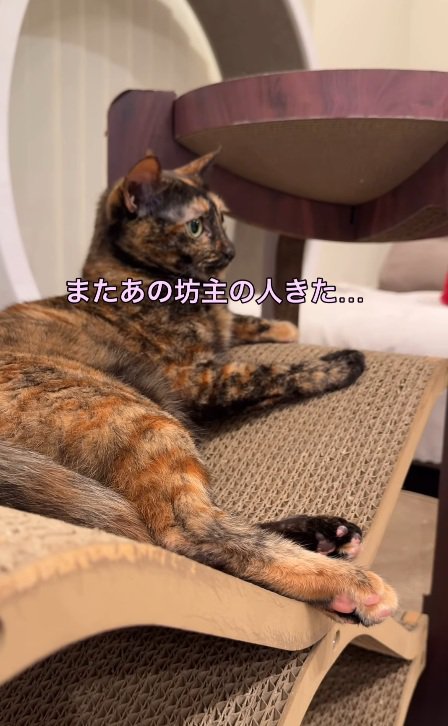 困惑