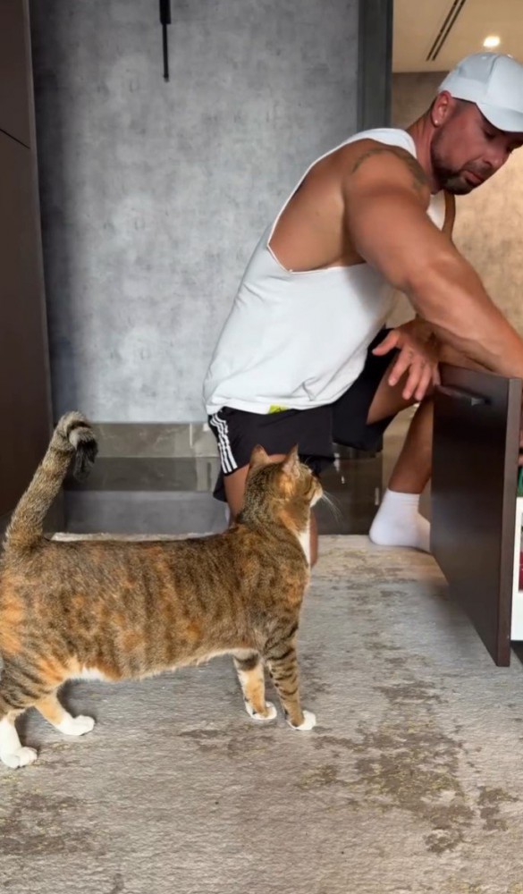 ひきだしを探る人と猫