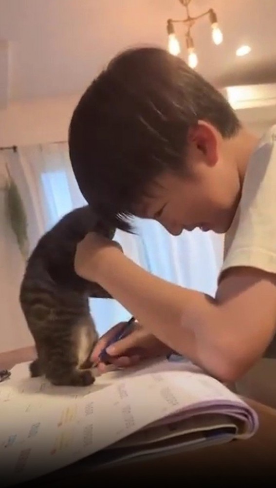 宿題をする男の子