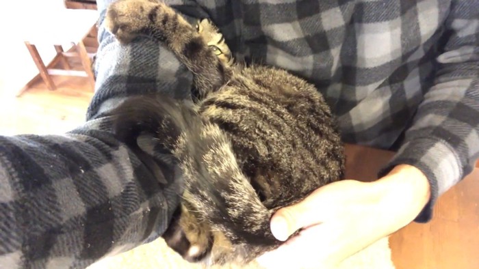 しがみつく姿
