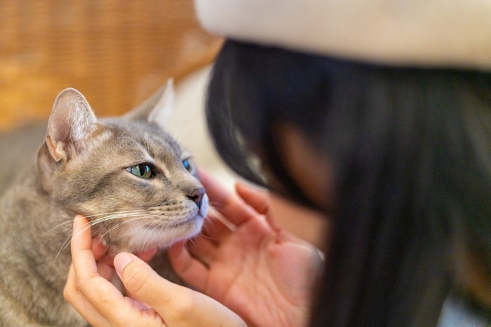 女性に話しかけられている猫