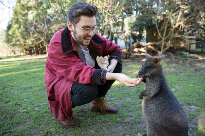 ワラビーに餌をあげる男性
