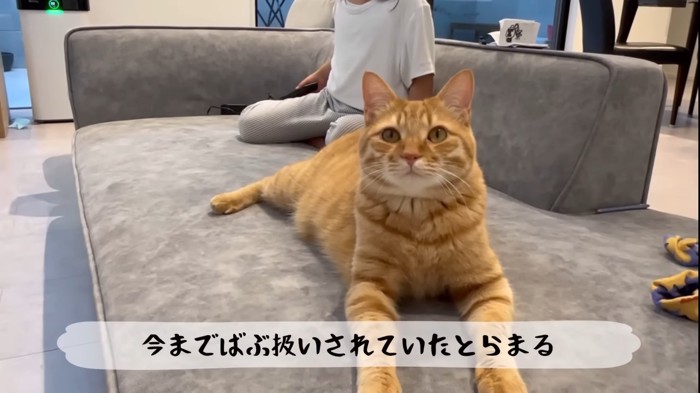 ソファーでくつろぎ中