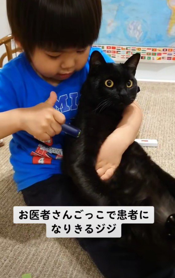 お医者さんごっこ中のジジくんと弟くん