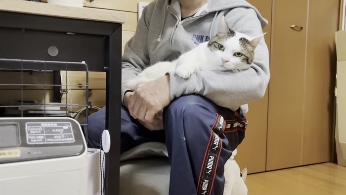 膝の上でくつろぐ猫の写真7